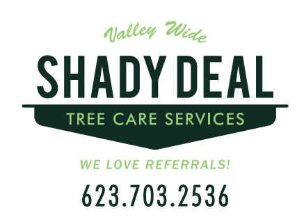 Shady Deal Tree Care Services business image in Glendale, AZ