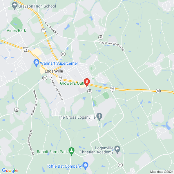 Loganville Mobile Detailing Service location map: 3900 Hwy 81, Loganville, GA